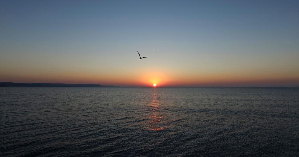 Guest house Beachcomber 3*